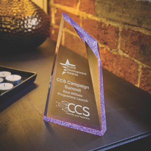 Acrylic Purple Tint Shard Award